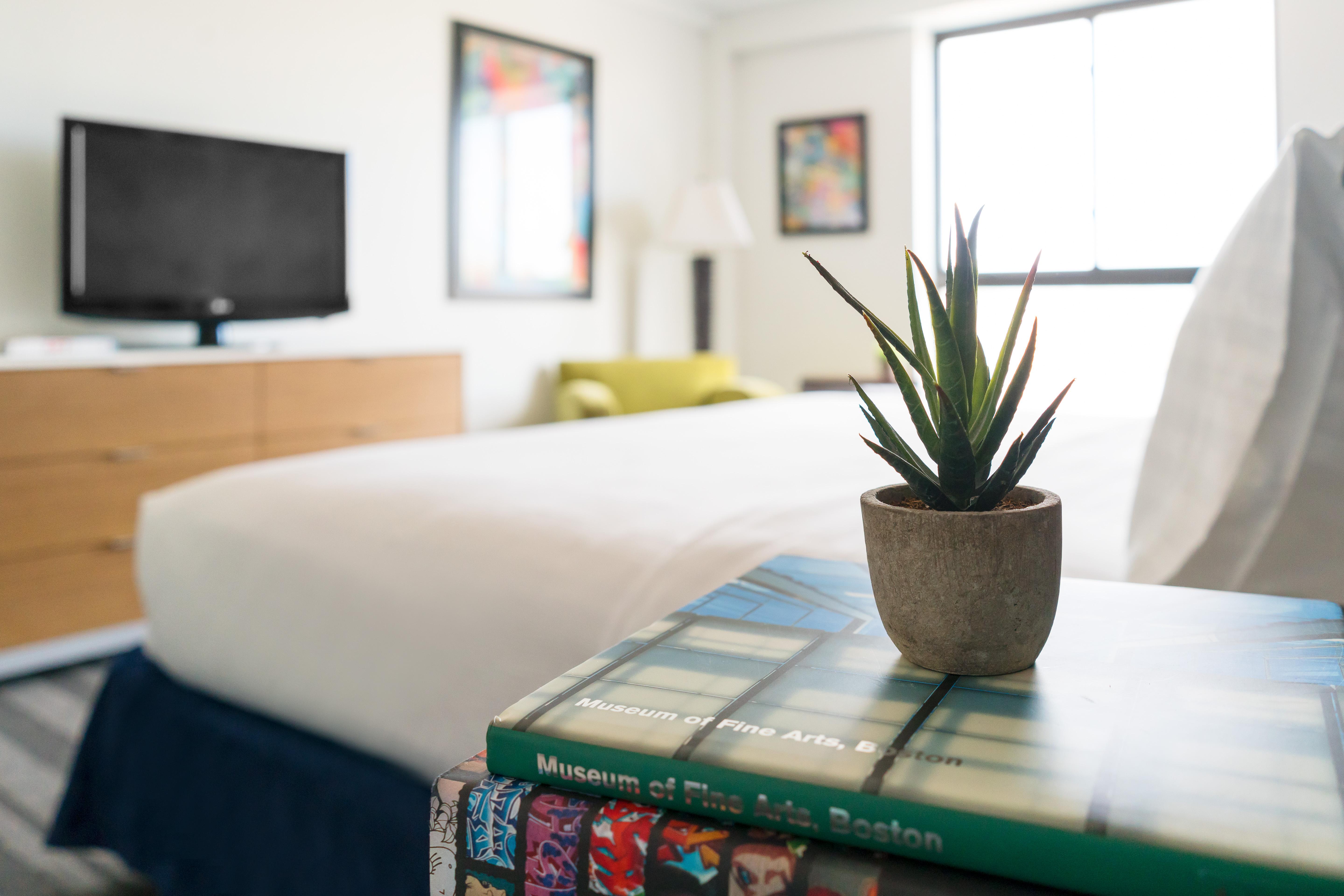 Studio Allston Hotel Βοστώνη Εξωτερικό φωτογραφία